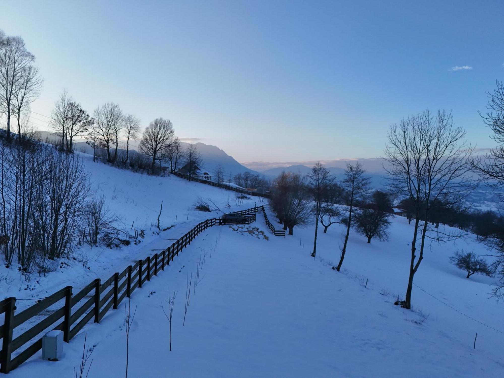 Doza De Retreat&spa Bran-adults Only Chalet Sohodol (Brasov)