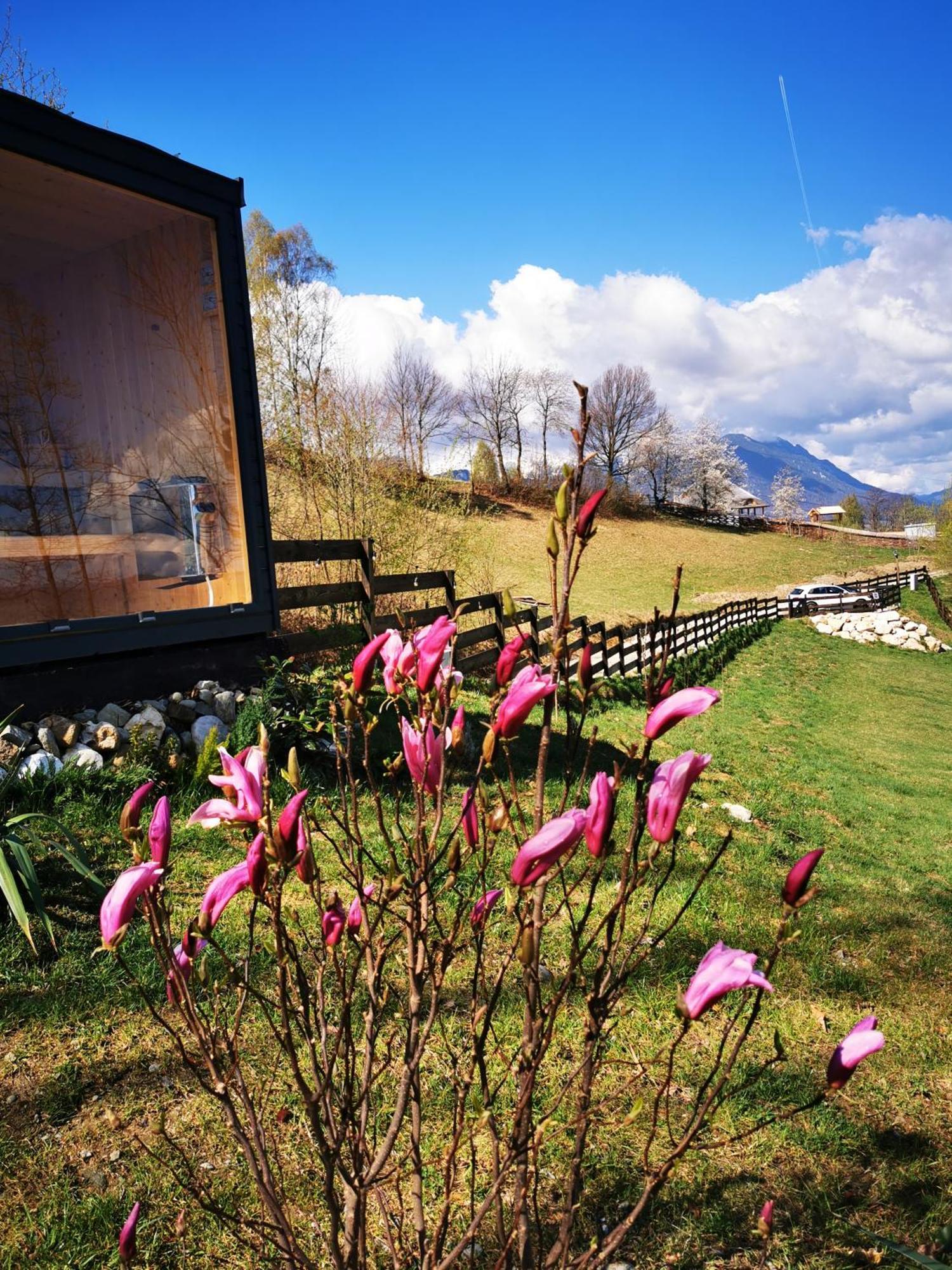 Chalet Doza De Retreat&spa Bran-adults Only