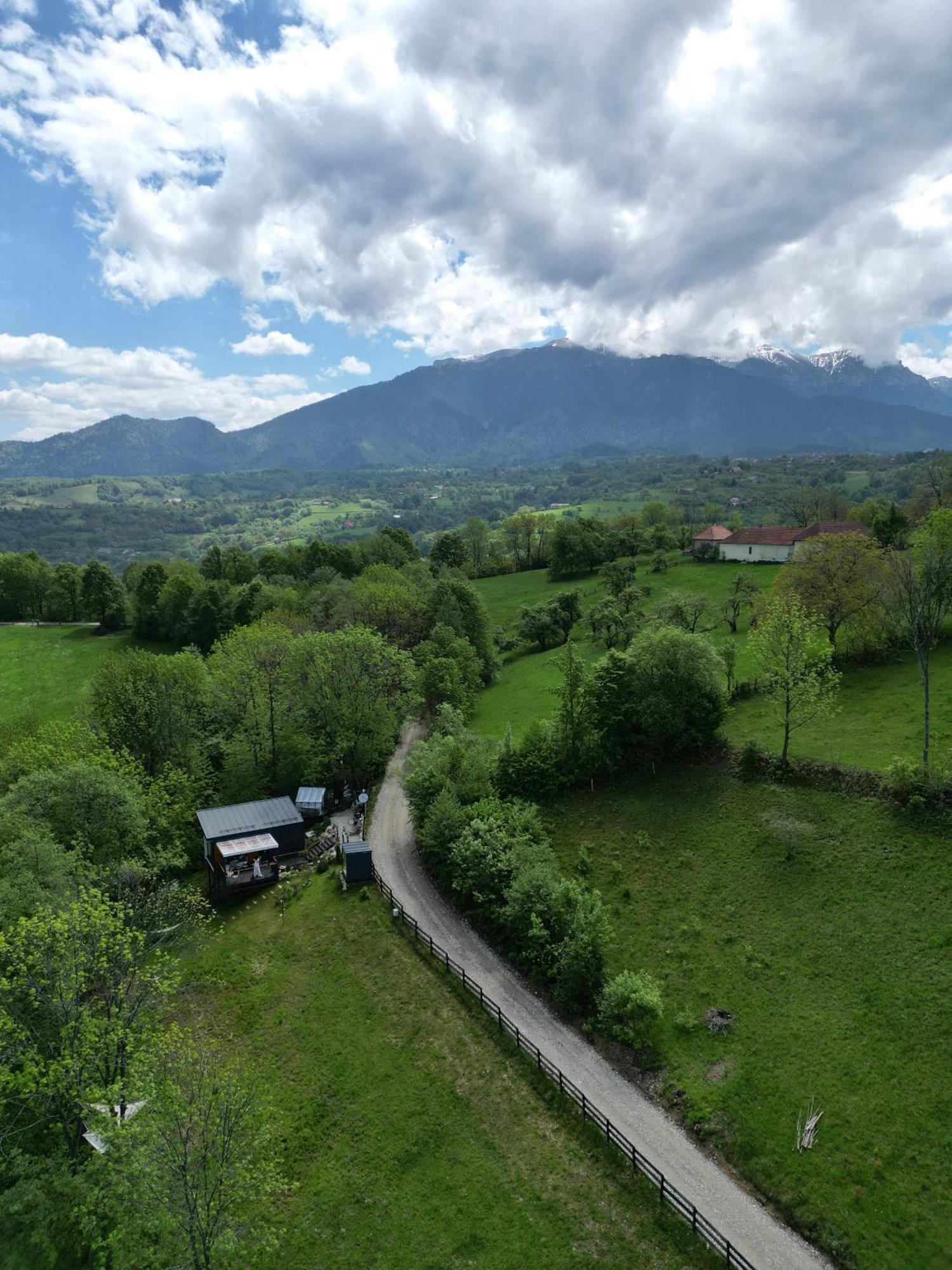 Doza De Retreat&spa Bran-adults Only * Sohodol (Brasov)